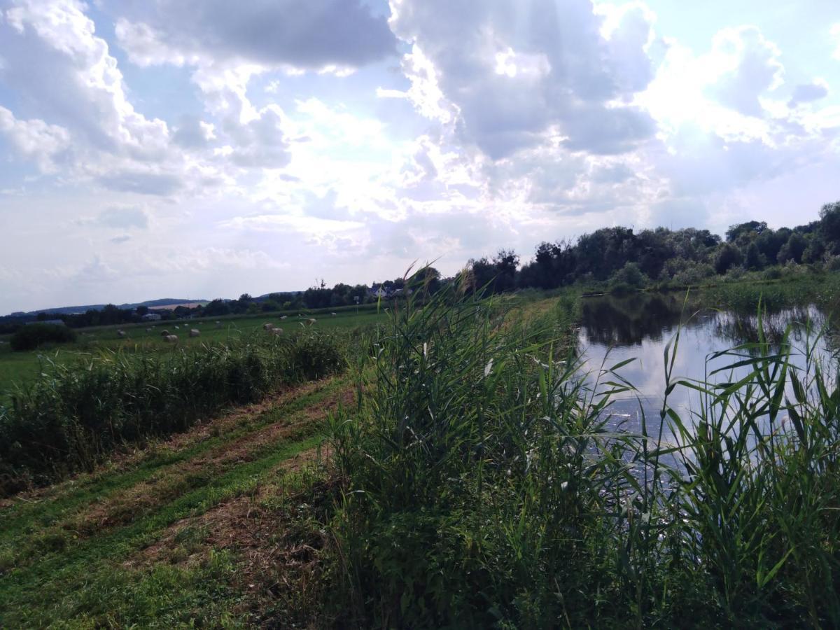 Rybakowka Villa Rejowiec Exteriör bild